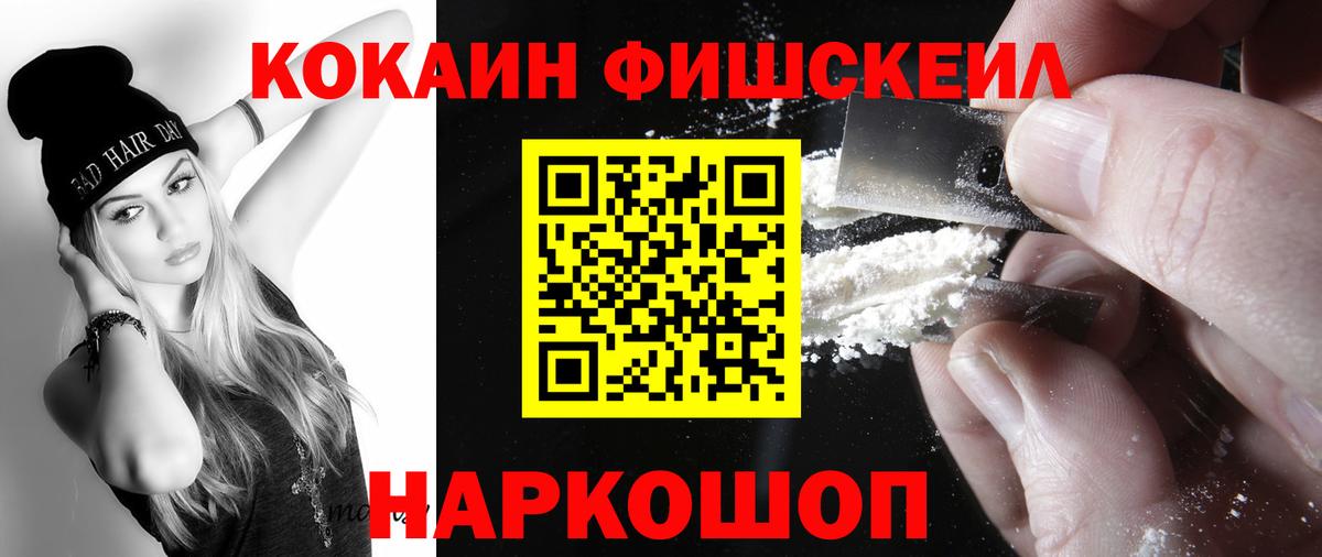 Ржев  COCAIN VHQ  COCAIN Fish Scale  COCAIN  Вход с VPN 