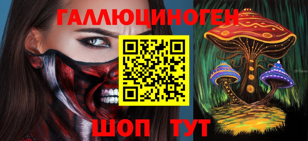 Галлюциногенные грибы GOLDEN TEACHER Ржев