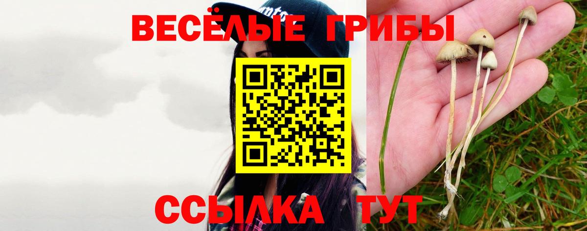 Галлюциногенные грибы прущие грибы  Галлюциногенные грибы мицелий  Ржев  Вход с VPN 